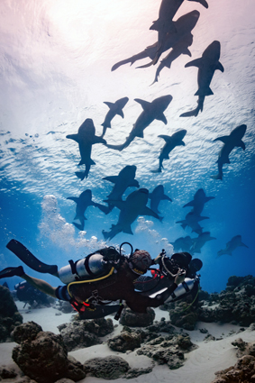 cda3cfc1903611615e1c2f10489806be_0 12 신경진 DSC_7200k.jpg